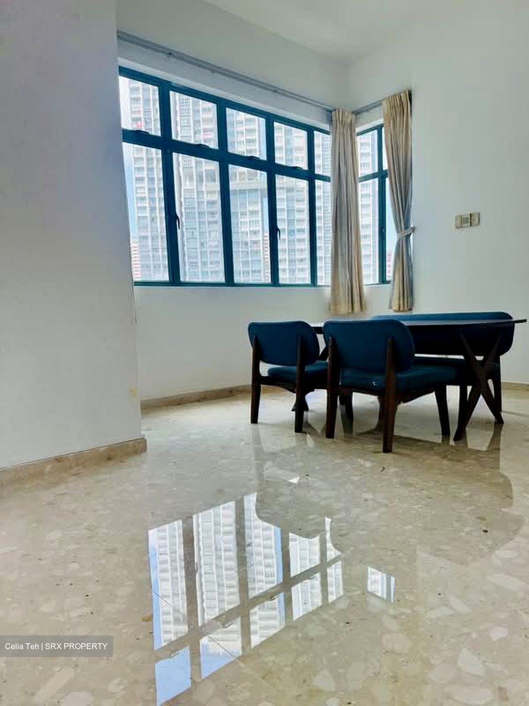 Tanglin Regency (D10), Condominium #567493261